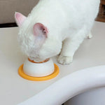 Pet Slow Licking Bowl For Dogs/cats, Non-slip Interactive Puzzle Toy, Healthy Slow Feeder, Reduces Boredom Anxiety, Fun Licking